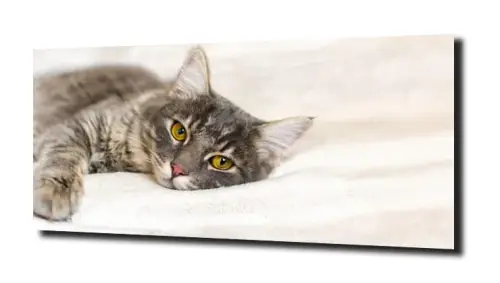 429c10e4449654638baca82606662728