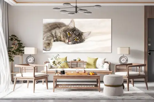 9f2a88149908b7a3e5b1fcda0729bfa9