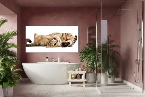 3592cf80228e9ebf38e7ebf3ecbb50dd