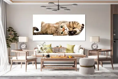 985c7b1bea37060432ae228d62cf622f