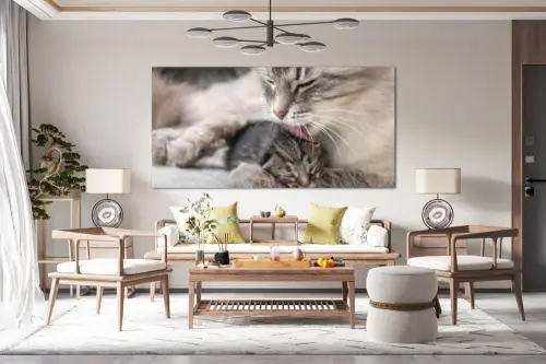 ca802265838e6de3b6f40a928ad5bf82