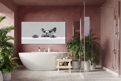 21b805656253c2115c5fd8450ab50793