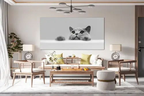 4b802df5c51e45e83b26188a7a5fbe39