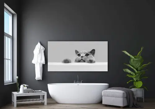 52b569f7c9c6a3c3cafb90fc88a0dcde