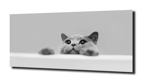 c86a70271e146962d89eef7c0d4342a1