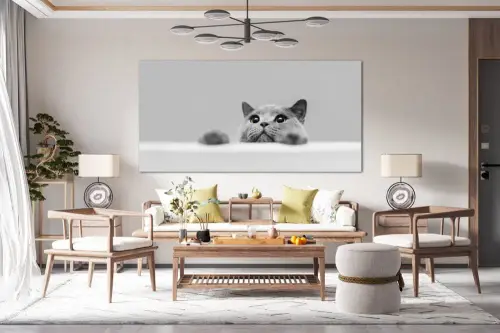 cad785975a43fb78d94dba966d4d9b80