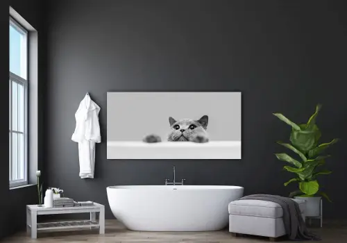 c2b349de6c32317e1853c91911ba9bf0