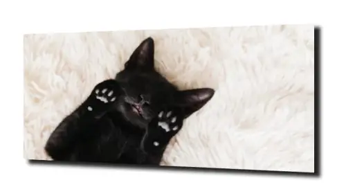 07fb79131b8f623317631006a9bb4a86