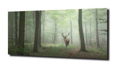 obraz na szkle, panel szklany Jeleń w lesie 