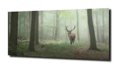 obraz na szkle, panel szklany Jeleń w lesie 