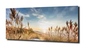 obraz na szkle Wydmy na plaży na tle morza 