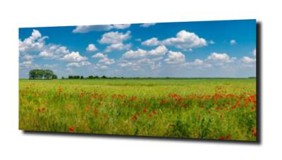 obraz na szkle Panorama na łąkę latem duża 