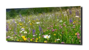 obraz na szkle, panel szklany Łąka kwiaty  