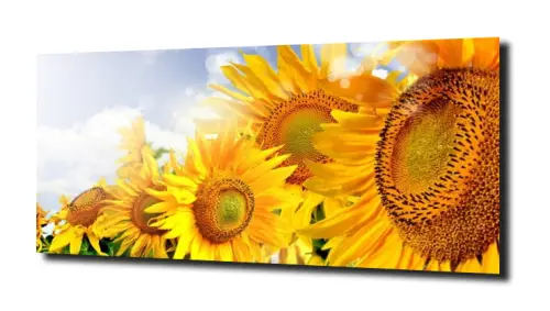 839e4560abab189236d55085dc444a2a