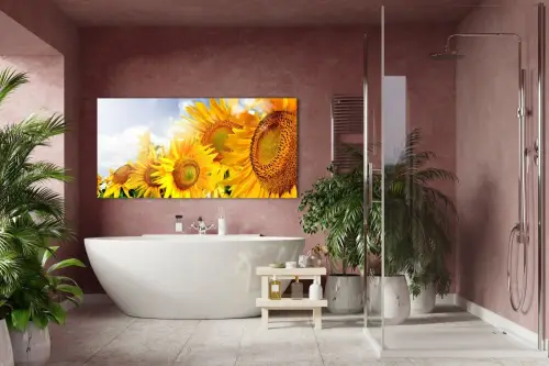 e5aa6fc79a5e7ef78ea3728240dd1245