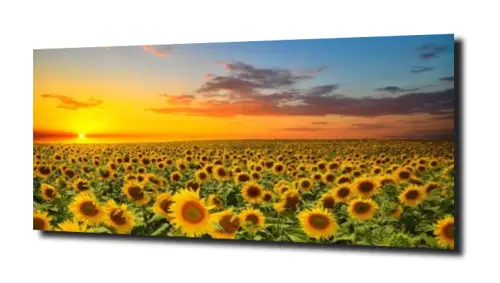 2845ef3d16ca8ff9bbcbd13627f48100