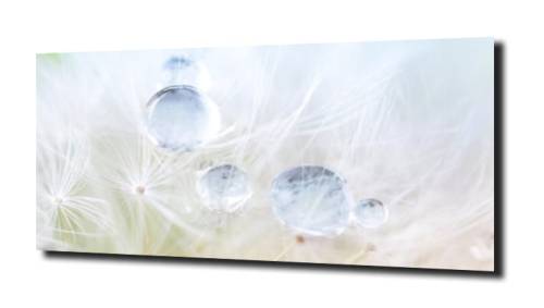 e47fc8e5b4389848b1c2cc3f27680615
