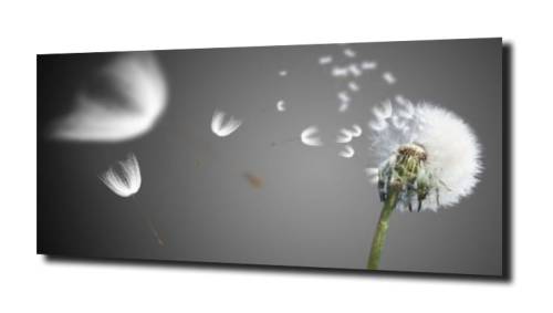 12cee0d31facf575ab86d0101aedcb75