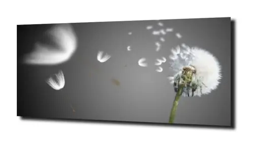 12cee0d31facf575ab86d0101aedcb75