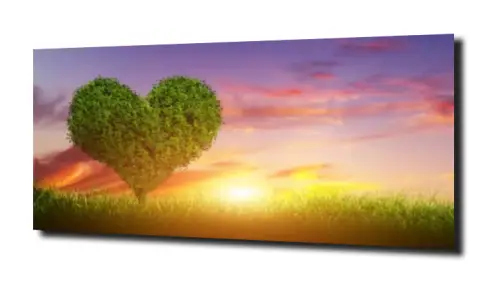 14795ab33735456a67cb0d1642b2260f