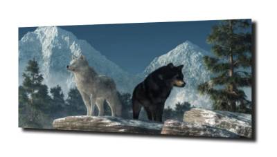 obraz na szkle, panel szklany Wilki natura 