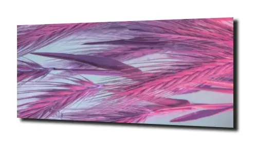 c7758265305ffbb197dcdc3d2bfcb244