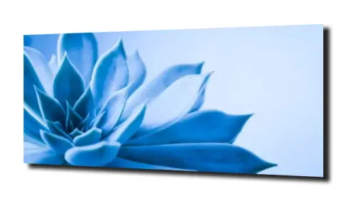 7350ac28ba9cd8d9c800a389b45fc532