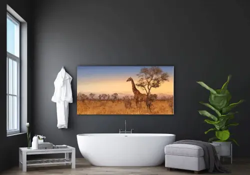 1e70d573af45e494b3e370fde404a494