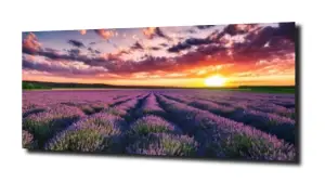 obraz na szkle Nieskończone pole Lawendy  