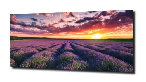 1f01a2d6f2c0ba21de2662609942d1ed