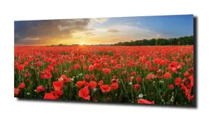 obraz na szkle Widok na łąkę pełną maków  