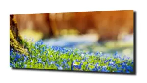 obraz na szkle Niebieskie kwiatki na łące 