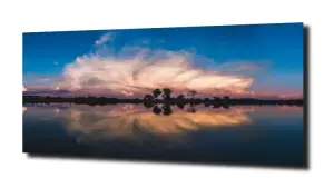 obraz na szkle Zachód słońca nad drzewami 