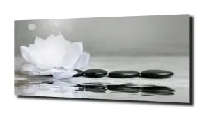 obraz na szkle, panel szklany Lilia wodna 