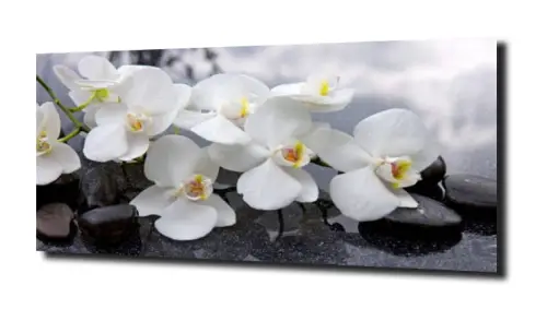 obraz na szkle, panel szklany Orchidea 7  