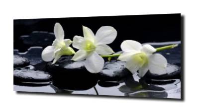 obraz na szkle, panel szklany Orchidea 10 