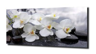 obraz na szkle, panel szklany Orchidea 11 