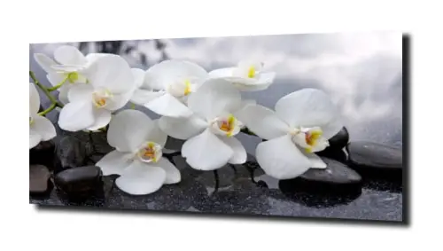 obraz na szkle, panel szklany Orchidea 11 
