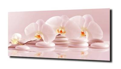 obraz na szkle, panel szklany Orchidea 19 