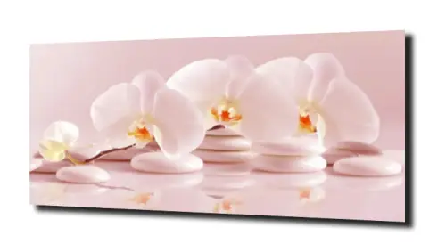obraz na szkle, panel szklany Orchidea 19 