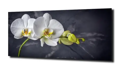 obraz na szkle, panel szklany Orchidea 22 