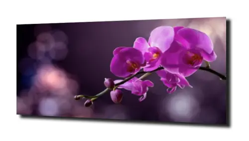 obraz na szkle, panel szklany Orchidea 28 