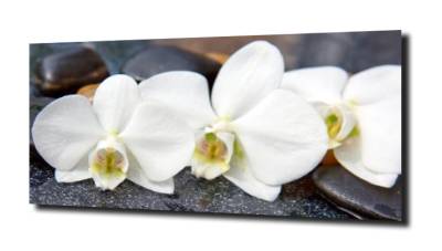 obraz na szkle, panel szklany Orchidea 34 
