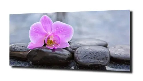 obraz na szkle, panel szklany Orchidea 39 