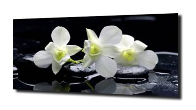 obraz na szkle, panel szklany Orchidea 43 