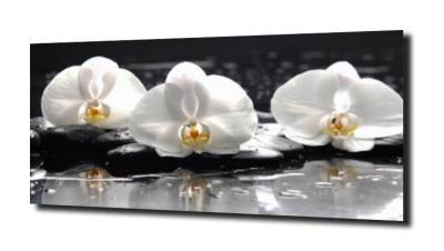 obraz na szkle, panel szklany Orchidea 45 