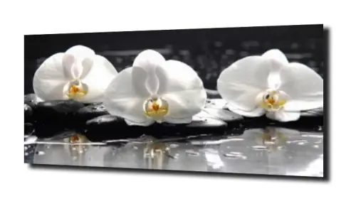 obraz na szkle, panel szklany Orchidea 45 