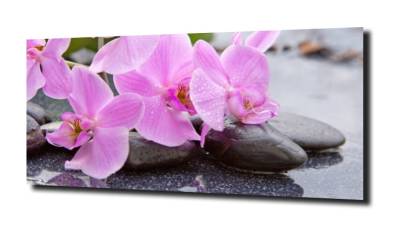 obraz na szkle, panel szklany Orchidea 46 