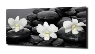 obraz na szkle, panel szklany Orchidea 49 