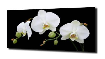 obraz na szkle, panel szklany Orchidea 52 